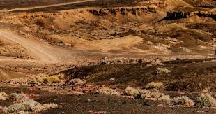 Valve新规：VRS取消多赛区排名！混编战队强制归属最强赛区